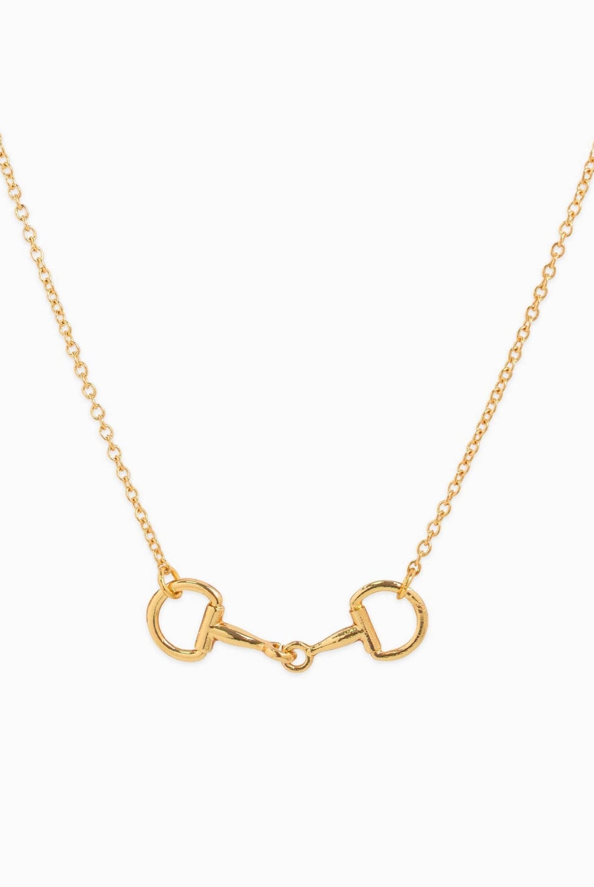 Gold chain necklace with horse bit pendant on white background.