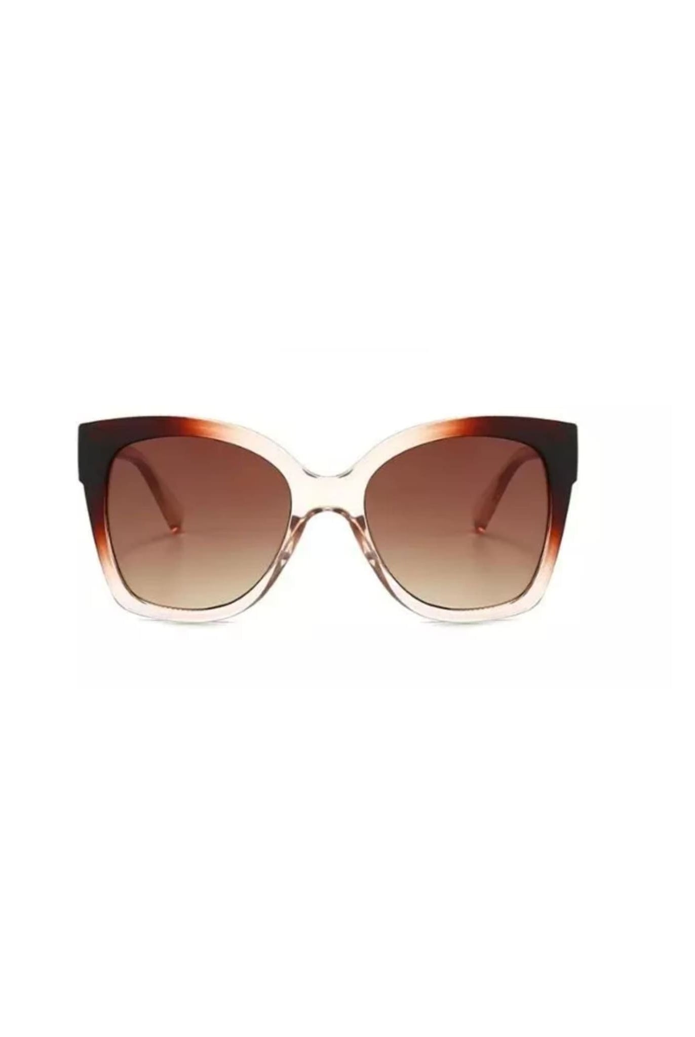 Oversized Sunglasses In Brown