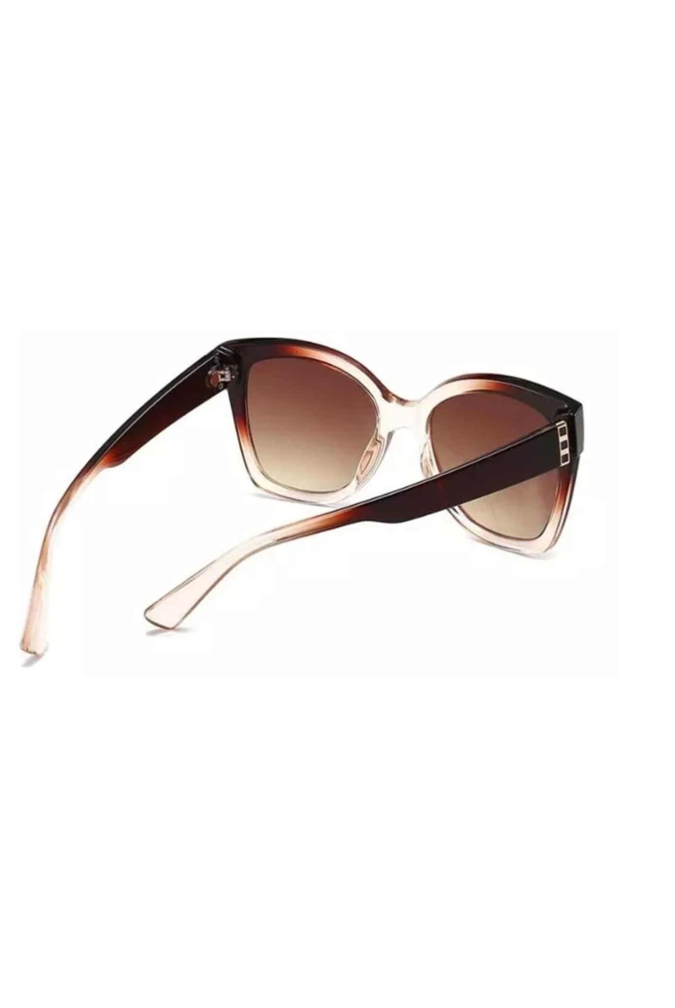 Oversized Sunglasses In Brown