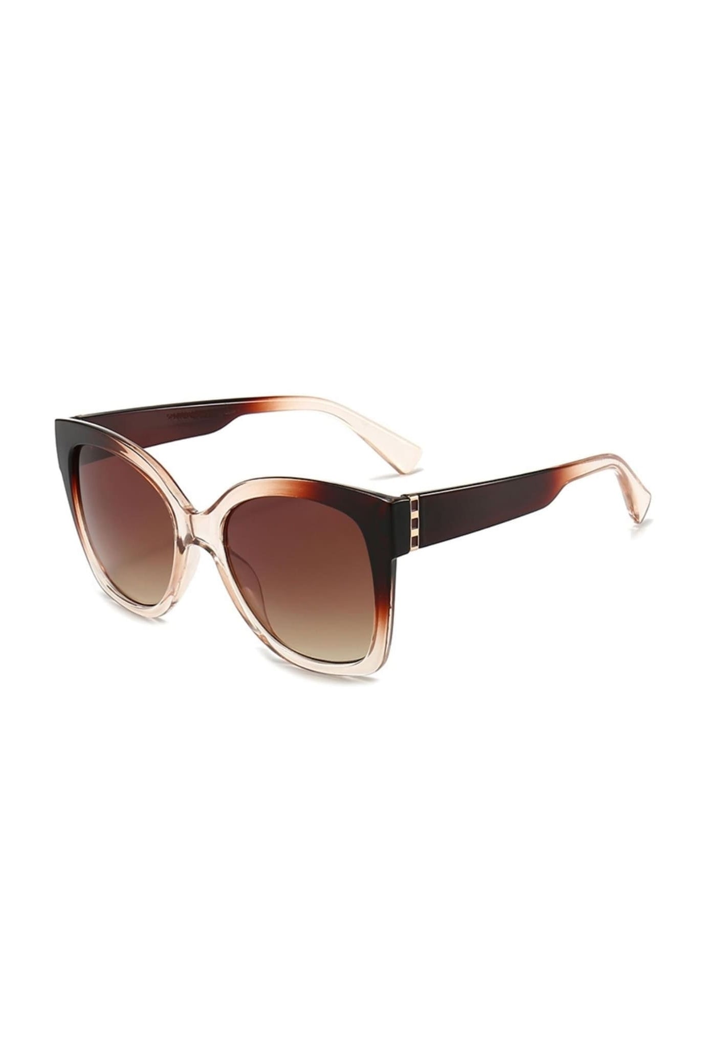 Oversized Sunglasses In Brown