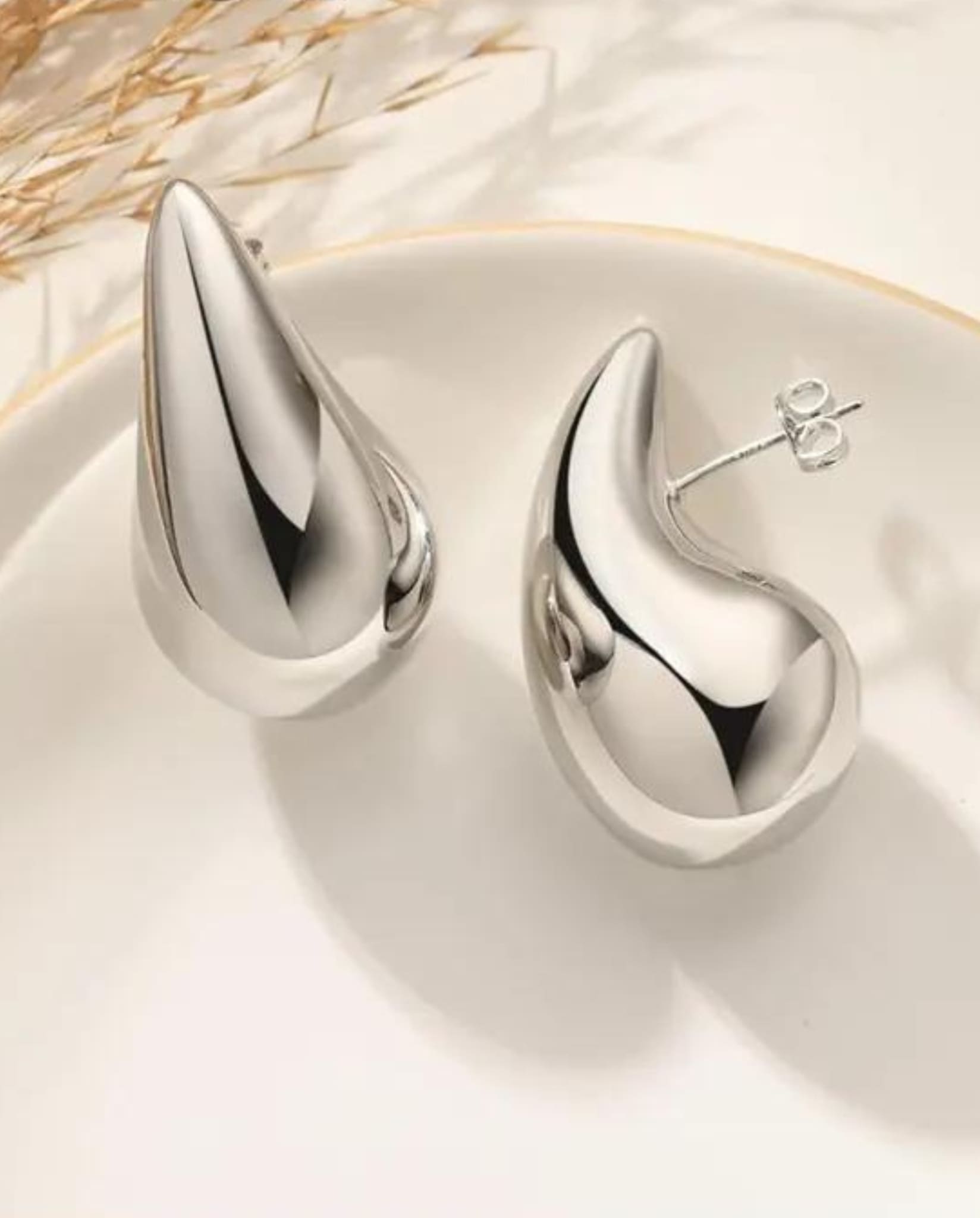 Drop Shape Earrings In Silver