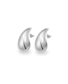 Drop Shape Earrings In Silver